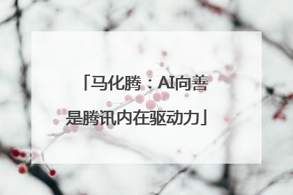 马化腾：AI向善是腾讯内在驱动力
