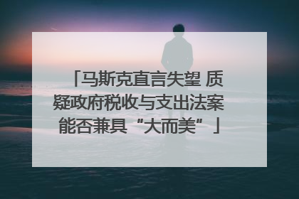 马斯克直言失望 质疑政府税收与支出法案能否兼具“大而美”