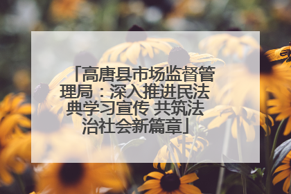 高唐县市场监督管理局：深入推进民法典学习宣传 共筑法治社会新篇章