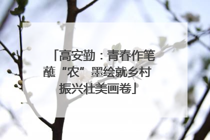 高安勤：青春作笔蘸“农”墨绘就乡村振兴壮美画卷