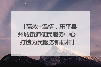 高效+温情，东平县州城街道便民服务中心打造为民服务新标杆