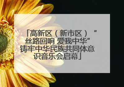 高新区（新市区）“丝路回响 爱我中华”铸牢中华民族共同体意识音乐会启幕