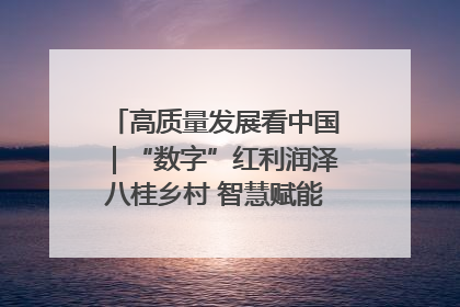高质量发展看中国｜“数字”红利润泽八桂乡村 智慧赋能绘就振兴画卷
