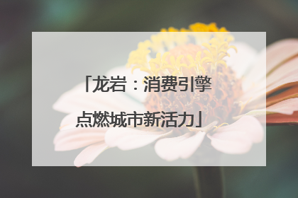 龙岩：消费引擎点燃城市新活力