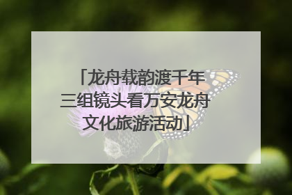 龙舟载韵渡千年 三组镜头看万安龙舟文化旅游活动