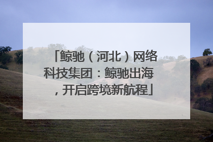 鲸驰（河北）网络科技集团：鲸驰出海，开启跨境新航程