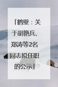 鹤壁：关于胡艳兵、郑涛等2名同志拟任职的公示