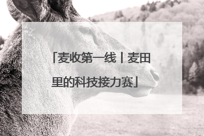 麦收第一线丨麦田里的科技接力赛