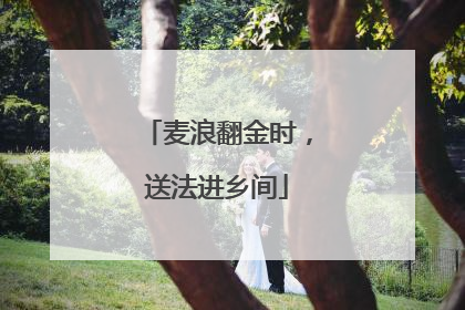 麦浪翻金时，送法进乡间