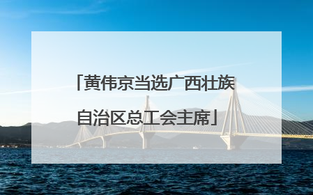 黄伟京当选广西壮族自治区总工会主席