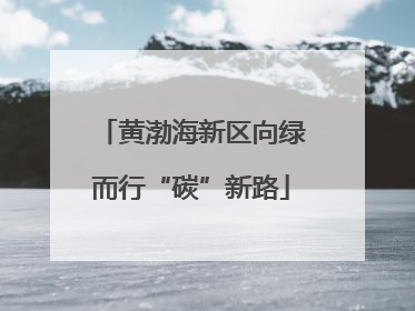 黄渤海新区向绿而行“碳”新路