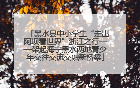 黑水县中小学生“走出阿坝看世界”浙江之行——架起海宁黑水两地青少年交往交流交融新桥梁
