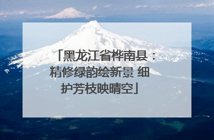 黑龙江省桦南县：精修绿韵绘新景 细护芳枝映晴空