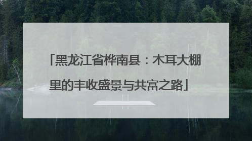 黑龙江省桦南县：木耳大棚里的丰收盛景与共富之路