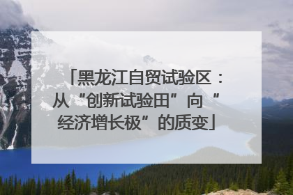 黑龙江自贸试验区：从“创新试验田”向“经济增长极”的质变