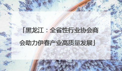 黑龙江：全省性行业协会商会助力伊春产业高质量发展