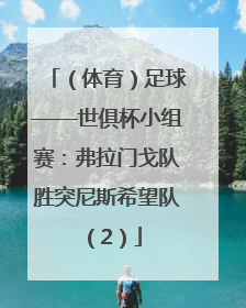 （体育）足球——世俱杯小组赛：弗拉门戈队胜突尼斯希望队（2）