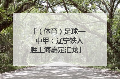 （体育）足球——中甲：辽宁铁人胜上海嘉定汇龙
