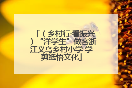 （乡村行·看振兴）“洋学生”做客浙江义乌乡村小学 学剪纸悟文化
