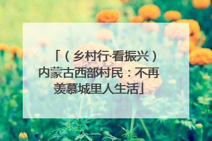 （乡村行·看振兴）内蒙古西部村民：不再羡慕城里人生活