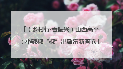 （乡村行·看振兴）山西高平：小辣椒“椒”出致富新答卷