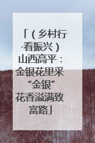 （乡村行·看振兴）山西高平：金银花里采“金银” 花香溢满致富路