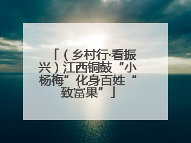 （乡村行·看振兴）江西铜鼓“小杨梅”化身百姓“致富果”