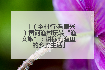 （乡村行·看振兴）黄河渔村玩转“渔文旅”：耕稼陶渔里的乡野生活