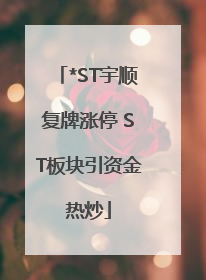 *ST宇顺复牌涨停 ST板块引资金热炒