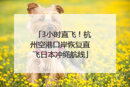 3小时直飞！杭州空港口岸恢复直飞日本冲绳航线