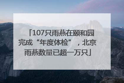 107只雨燕在颐和园完成“年度体检”，北京雨燕数量已超一万只