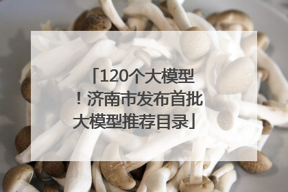 120个大模型！济南市发布首批大模型推荐目录