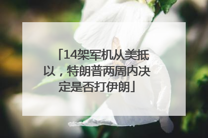 14架军机从美抵以，特朗普两周内决定是否打伊朗