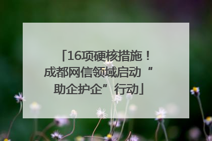 16项硬核措施！成都网信领域启动“助企护企”行动