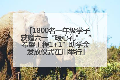 1800名一年级学子获赠六一“暖心礼” “希望工程1+1”助学金发放仪式在川举行