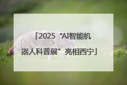 2025“AI智能机器人科普展”亮相西宁