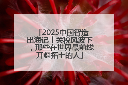 2025中国智造出海记丨关税风波下，那些在世界最前线开疆拓土的人