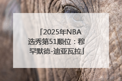 2025年NBA选秀第51顺位：穆罕默德-迪亚瓦拉