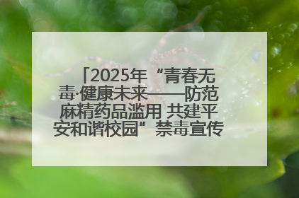 2025年“青春无毒·健康未来——防范麻精药品滥用 共建平安和谐校园”禁毒宣传专题活动在咸宁举行
