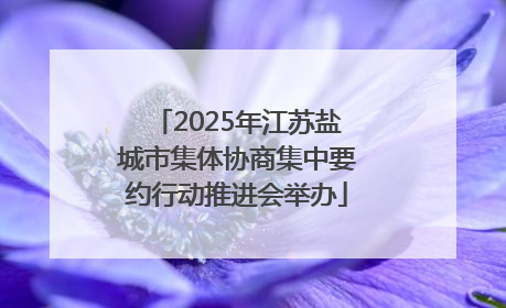 2025年江苏盐城市集体协商集中要约行动推进会举办