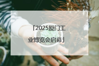 2025厦门工业博览会启幕