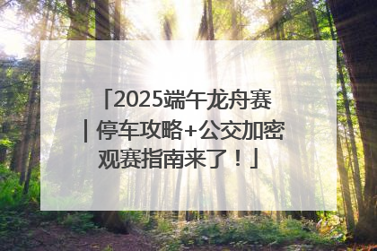 2025端午龙舟赛｜停车攻略+公交加密 观赛指南来了！