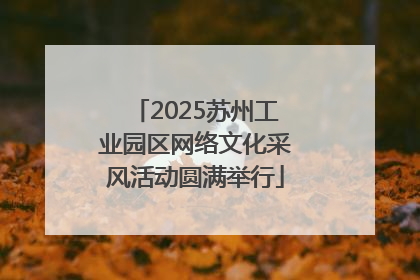 2025苏州工业园区网络文化采风活动圆满举行