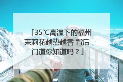 35℃高温下的福州茉莉花越热越香 背后门道你知道吗？