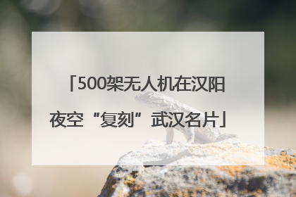 500架无人机在汉阳夜空“复刻”武汉名片