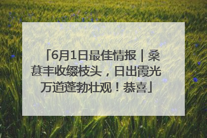 6月1日最佳情报｜桑葚丰收缀枝头，日出霞光万道蓬勃壮观！恭喜