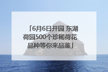 6月6日开园 东湖荷园500个珍稀荷花品种等你来品鉴