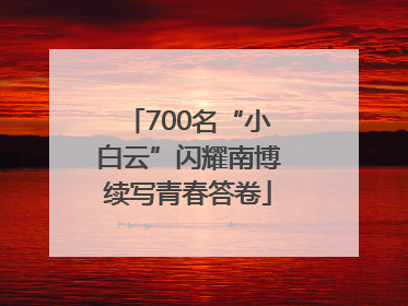 700名“小白云”闪耀南博续写青春答卷