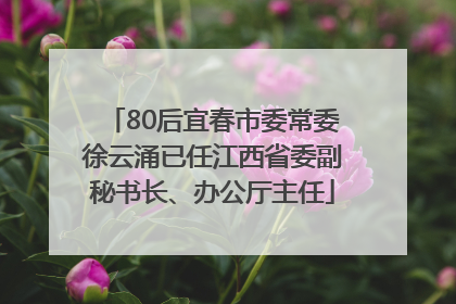 80后宜春市委常委徐云涌已任江西省委副秘书长、办公厅主任