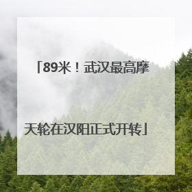 89米！武汉最高摩天轮在汉阳正式开转